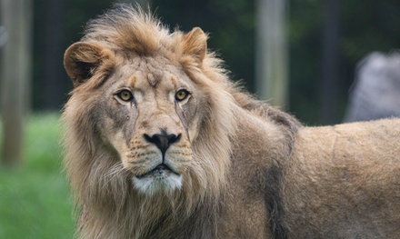 Zoo Knoxville Admission for 1 Person (All Ages) - Zoo Knoxville