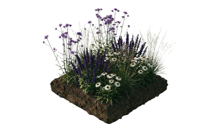 Image 4: Bordure NatureNest Joy