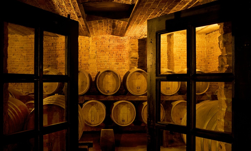 Image 2: Degustazione vini guidata a Castello di Gabiano