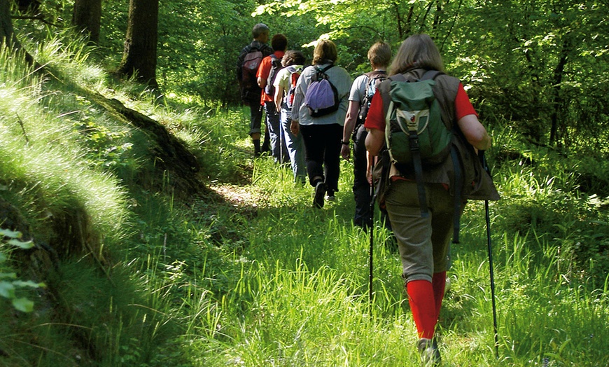 Image 5: 5 Tage Yoga-Retreat im Teutoburger Wald