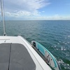 Image 15: Experience Miami's Waters on a Private Luxury Yacht