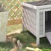 Image 12: Pawhut Outdoor Wooden Rabbit Hutch Collection