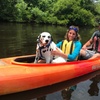 Image 12: Up to 34% Off Outer Banks Kayak Rentals and Tours