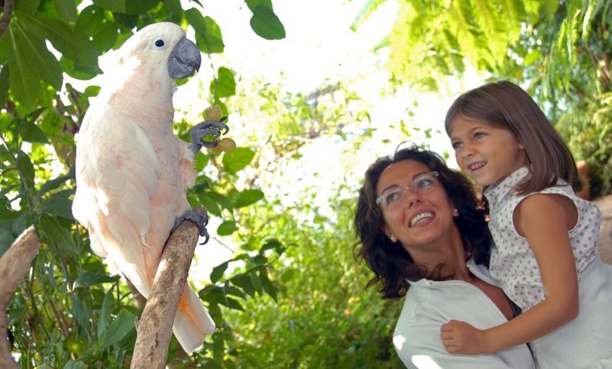 Image 14: Genova 4*: 1 o 2 notti con colazione, Acquario e Biosfera