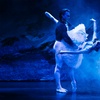 Image 4: „Swan Lake – Beyond the Stage“: Ticket vom 1.10. bis 5.10.2025
