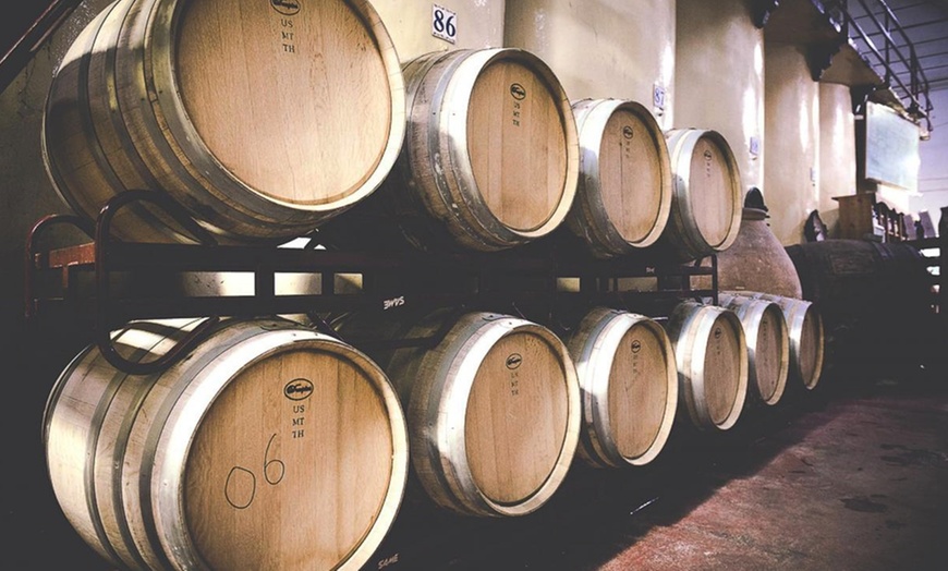 Image 1: Visita a bodega con cata de 3 vinos y aperitivos para hasta 6 personas