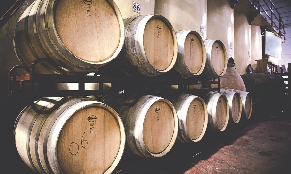 Visita a bodega con cata de 3 vinos y aperitivos para hasta 6 personas