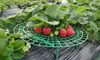 Strawberry Stand Frame Holder Balcony Planting Rack Fruit Support Adjustable