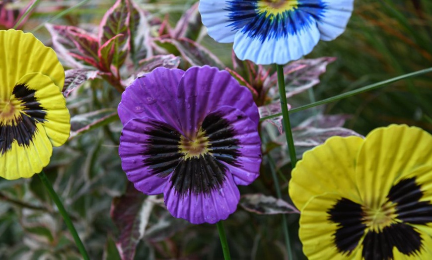 Image 14: 6 or 12 Pack of Metal Flower Stakes - Pansy / Sunflower / Daisy
