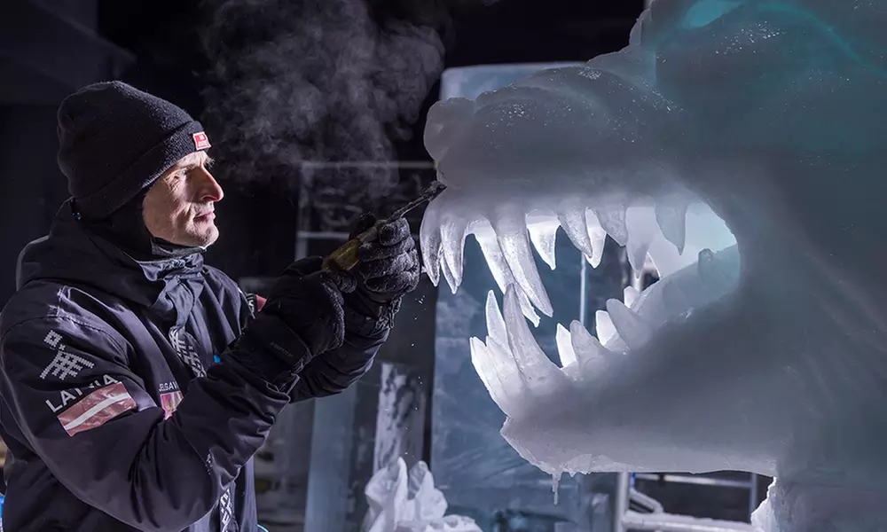 Ticket für das niederländische Eisskulpturen-Festival in Biddinghuizen