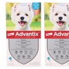 Image 19: Pipette antiparassitarie per cani Advantix