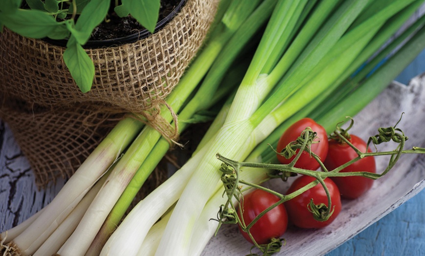 Image 12: Bumper 35-Pack Vegetable Seed Kit and Free Garden Snips