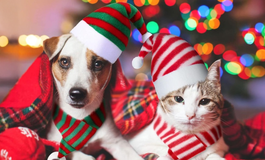 Image 1: 6-Piece Christmas-Themed Pet Hat and Scarf Collection