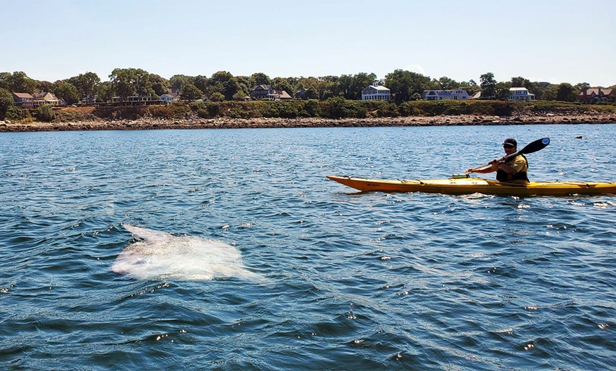 Image 6: Kayak Tours & Water Rentals for 2 or 4