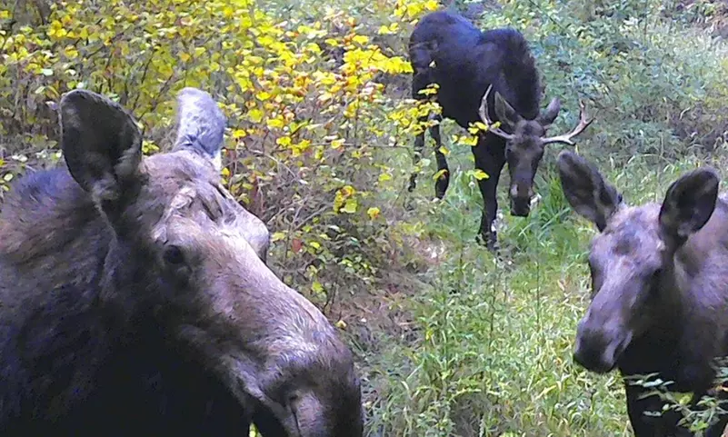 Explore Nature with Family Membership Access
