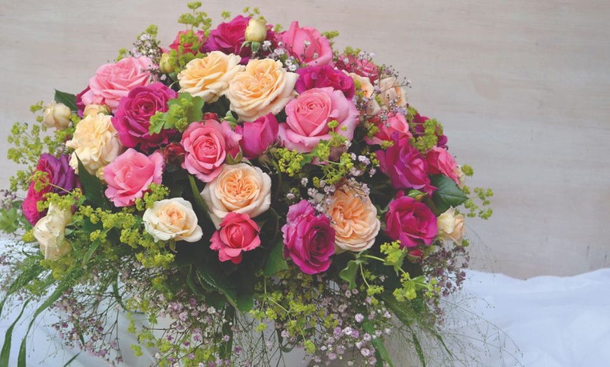 Image 13: Hybrid Tea Rose Collection 