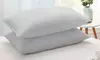 Peace Nest 2 Pack Goose Feather Down Bed Pillows 