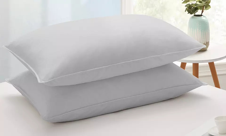 Peace Nest 2 Pack Goose Feather Down Bed Pillows 