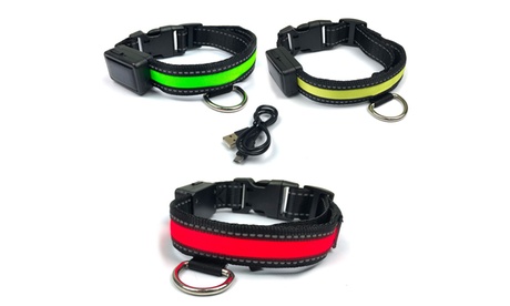 Collare regolabile luminoso con LED a ricarica solare per cani disponibile in 3 colori e 3 taglie