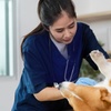 Image 2: Learn Veterinary Assistant Training or Animal Care Online Course