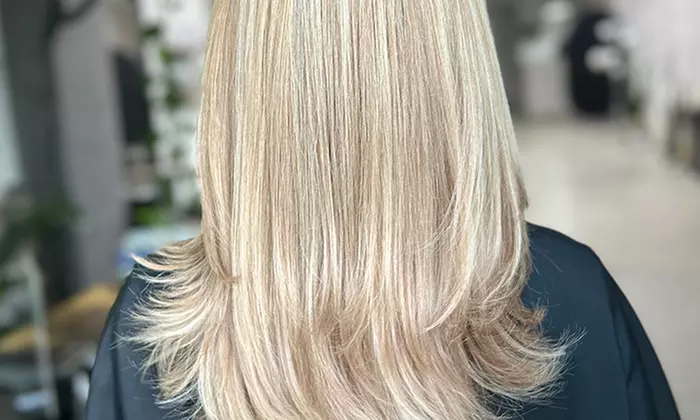 Haircut, Condition & Blowdry + Choice of Hair Color Service