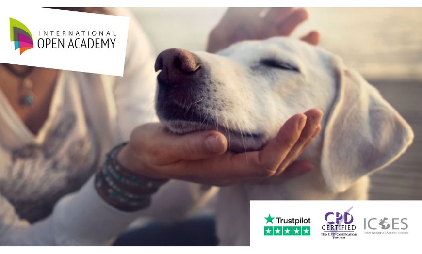 Image 2: Master Dog Training & Pet Care w/ Online Classes by Certified Trainers