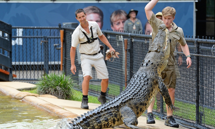 Image 2: Admission and Hospital Sneak Peek to Australia Zoo