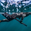 Image 1: Up to 36% Off on Spearfishing at Just Get Wet
