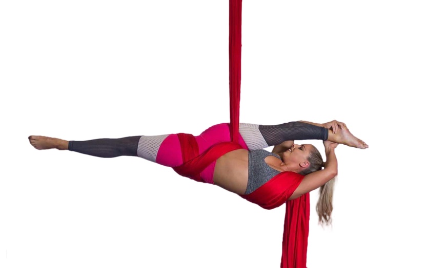 Image 1: Fun Fitness Classes: Dance, Stretch, Pole, Hoop, Hammock & More