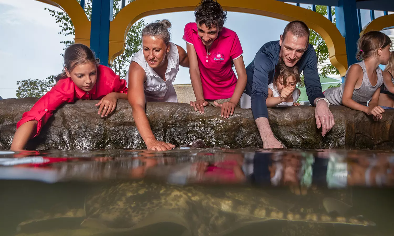 Einrittskarte "Dolfinarium" in Harderwijk, Niederlande für 1 Person