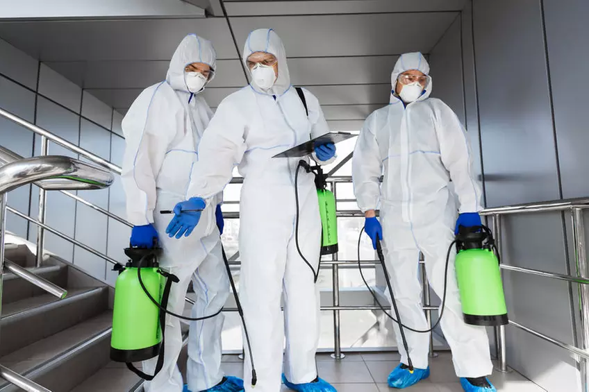 Disinfection from The Germ Removers Mobile Disinfection Services (Up to 21% Off). Three Options Available. - Primary Image