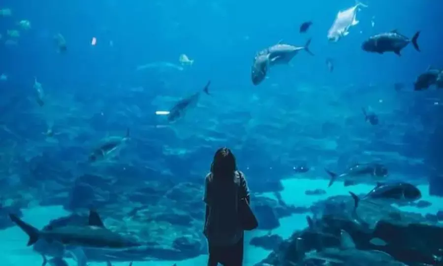 GetOut Oklahoma with Admission to 36+ Iconic Attractions