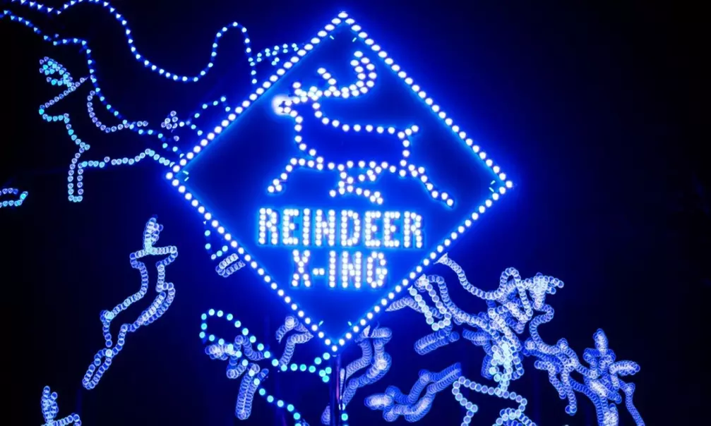 Dasher's Lightshow Drive through December 31 - Second Medium