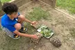 Become a Zookeeper for a Day: Feed, Care, and Connect with Exotic Animals at Sunset Wildlife Inc - Second Medium