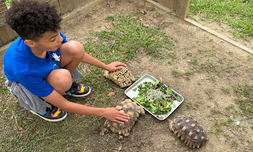 Image 4: Zookeeper for a Day Experience – Sunset Wildlife Connection Florida