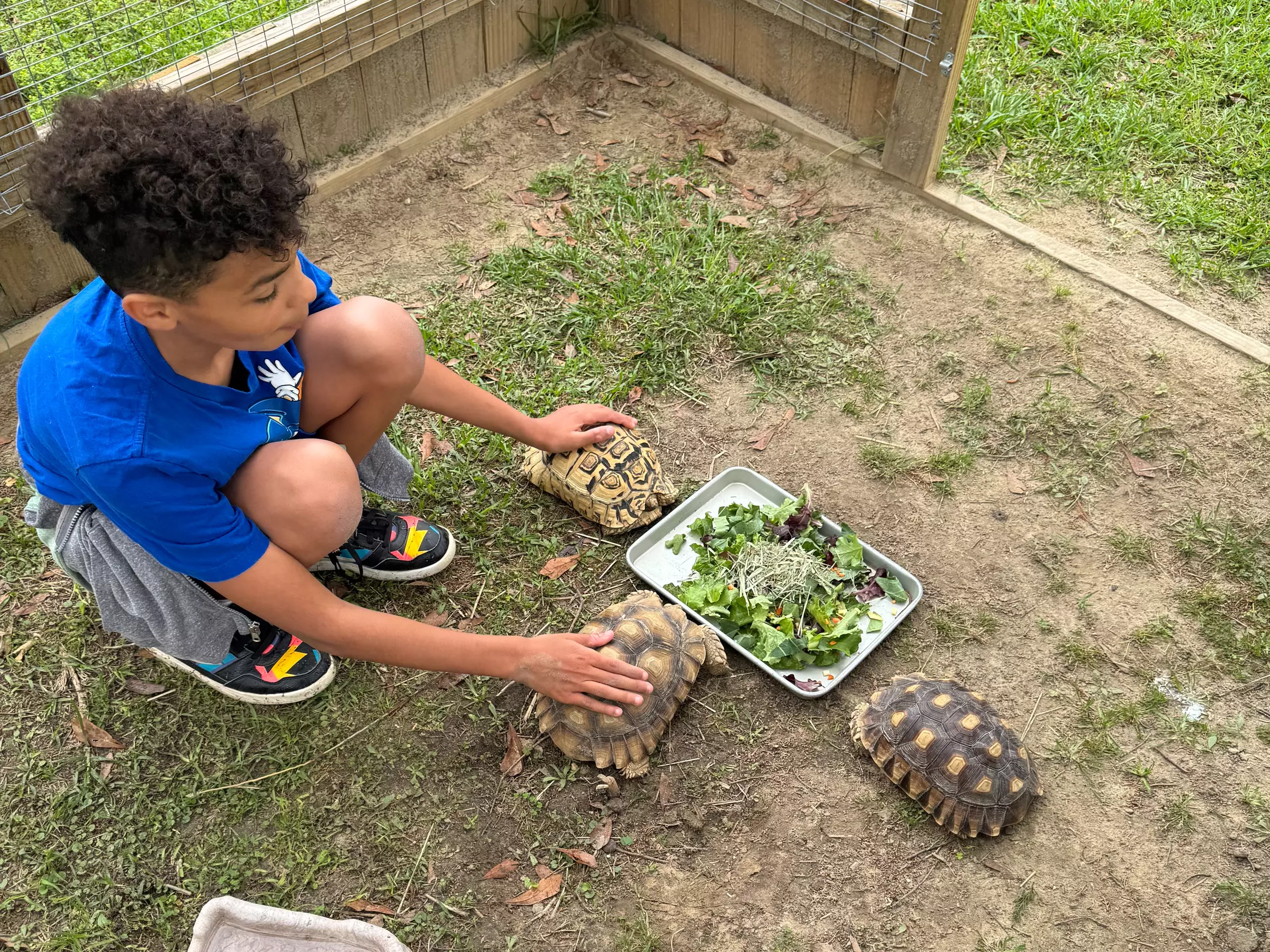 Zookeeper for a Day Experience – Sunset Wildlife Connection Florida
