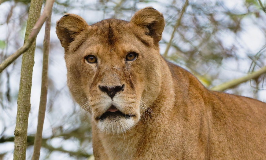 Image 16: Vivre les missions d’un soigneur au Touroparc Zoo