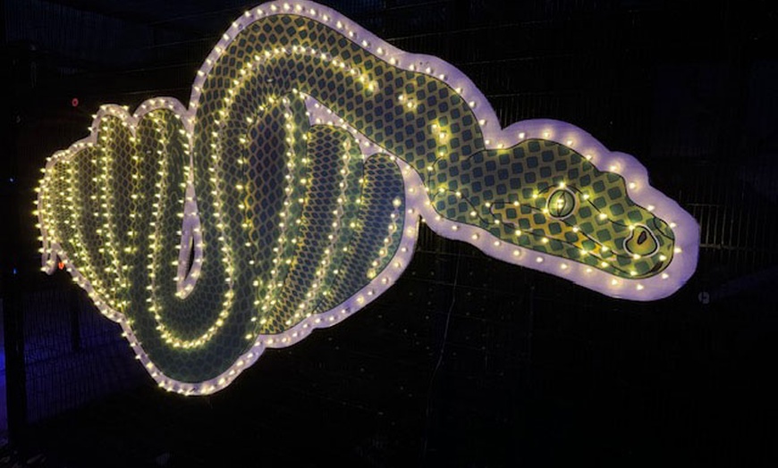 Image 7: Zoo Lights Holiday Wonderland at Zootah