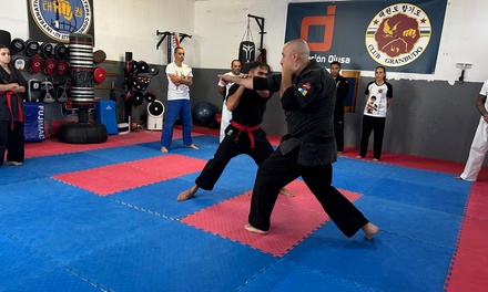 Bono de 1 mes de clases de artes marciales para niños o adultos - S M Martial Arts