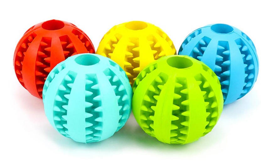 Image 1: Dog Chewing Ball Toy