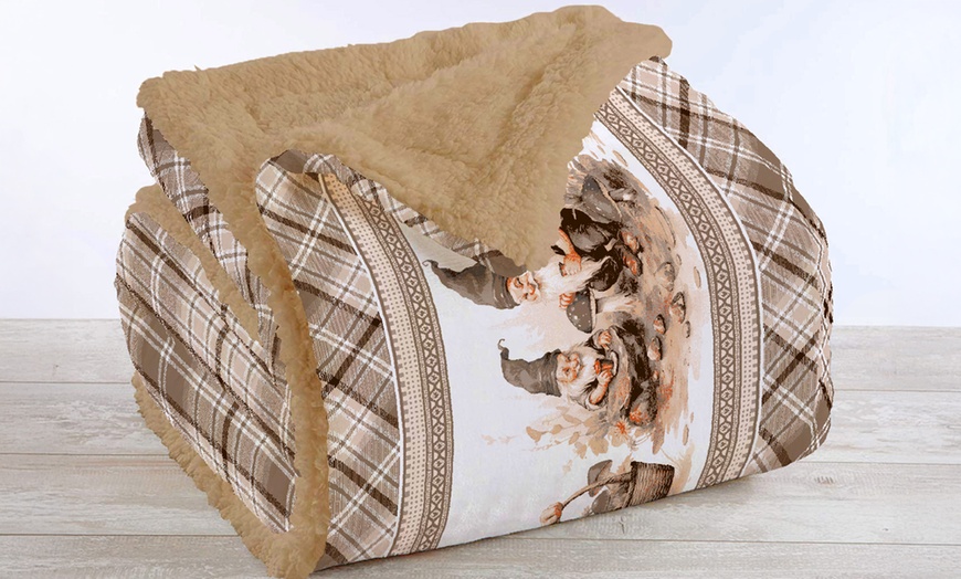Image 9: Ultrasoft sherpa & microfiber deken