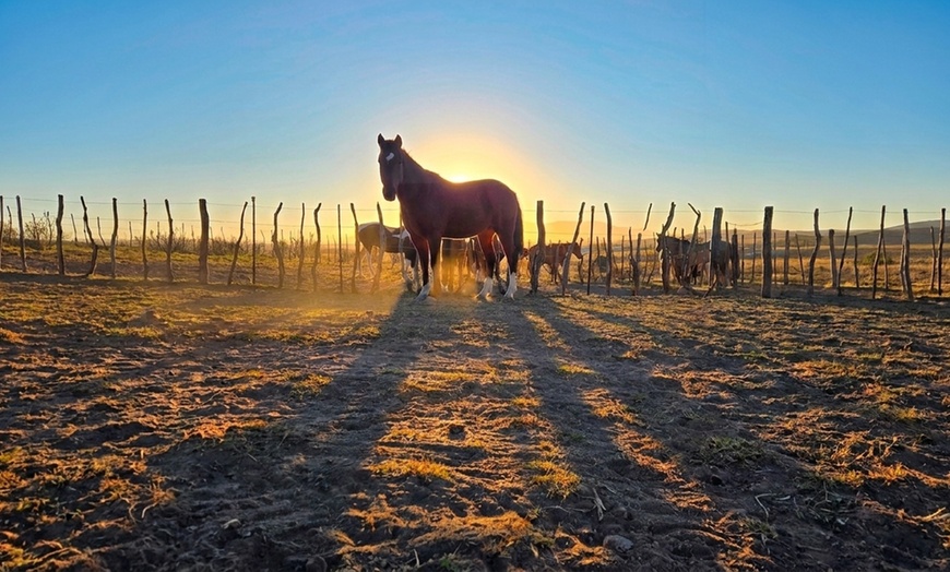 Image 4: Scenic Trail Rides at Double R Ranch – All Skill Levels Welcome