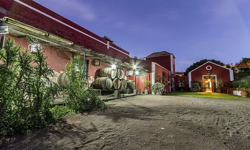 Image 7: Visita a Bodegas, Museo del Vino y cata con aperitivos