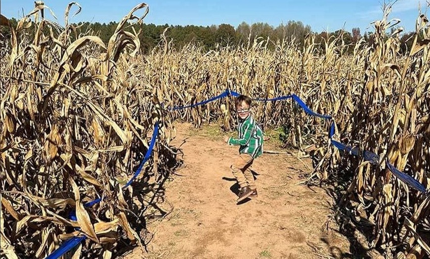 Image 2: 42% Off Corn Maze and Pumpkin Patch at Chesterfield Berry Farm