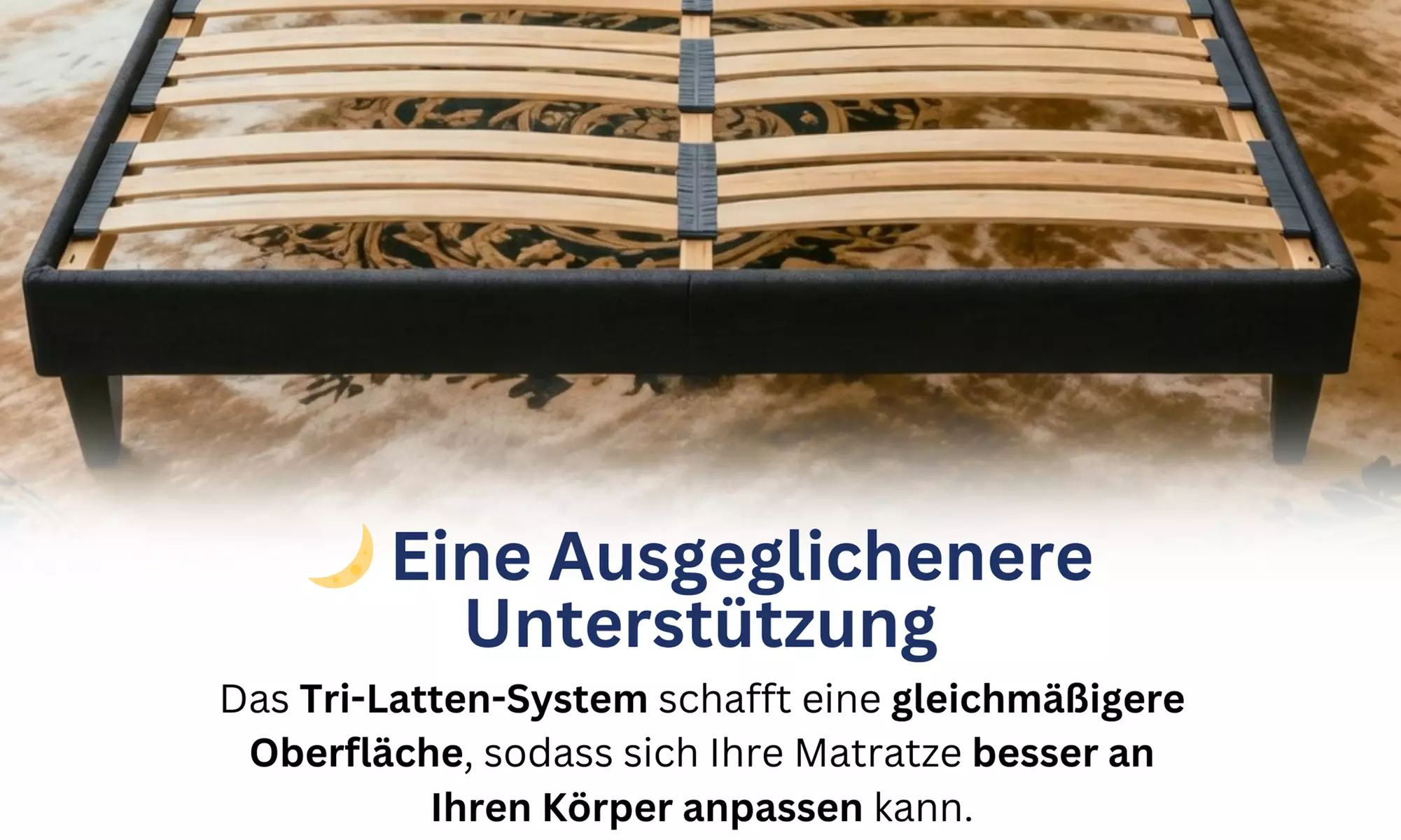 Bettgestell ANTHRA opt. mit Matratze