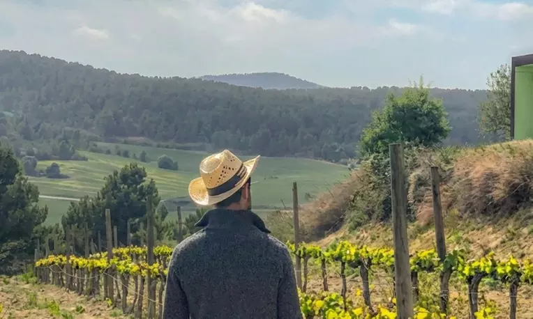 Cata de 3 vinos con maridaje de productos km 0 y visita a viñedo