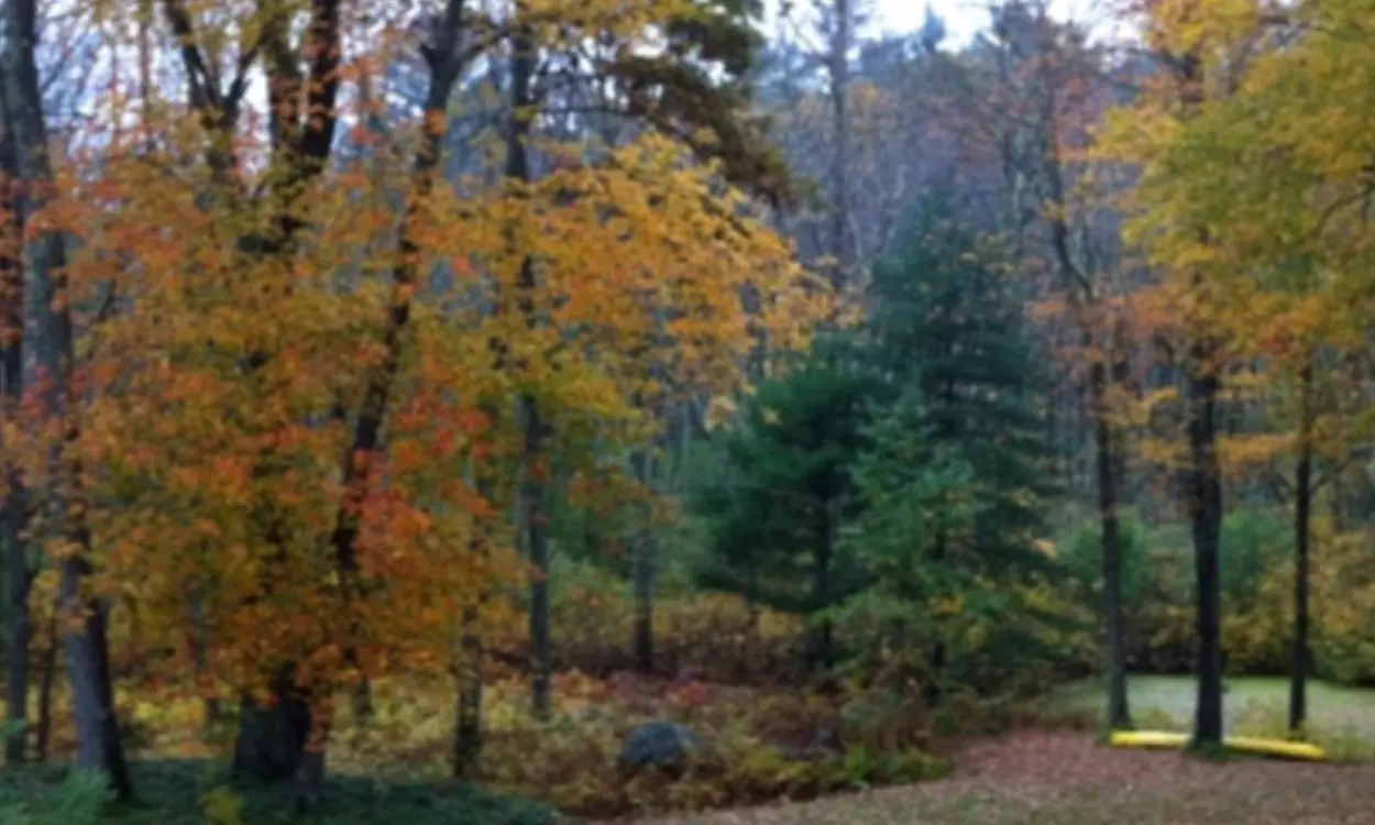 $75 for a Colon-Hydrotherapy Session at a Private Retreat at Between Two Worlds in Attleboro ($120 Value) - Second Medium