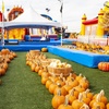 Image 1: Up to 37% Off Inflatable Park and Pumpkin Patch - ABC Tree Farm