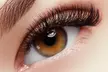 Enhance Lashes with Ace Japan Eyelash's Acejapan Lash Gel Tint (Up to 45% Off) - Second Medium