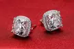 Sterling Silver Cubic Zirconia Cushion Cut Halo Studs - Second Medium
